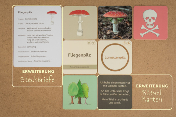 w_pilze_druck_13