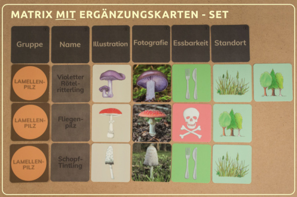 w_pilze_druck_erg_2_a