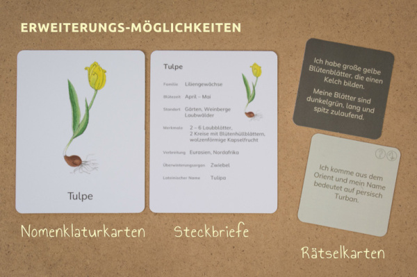 w_raetsel_fb_1