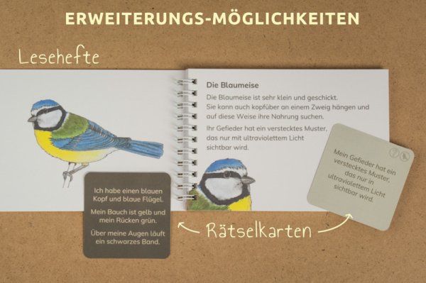 w_raetsel_voegel1