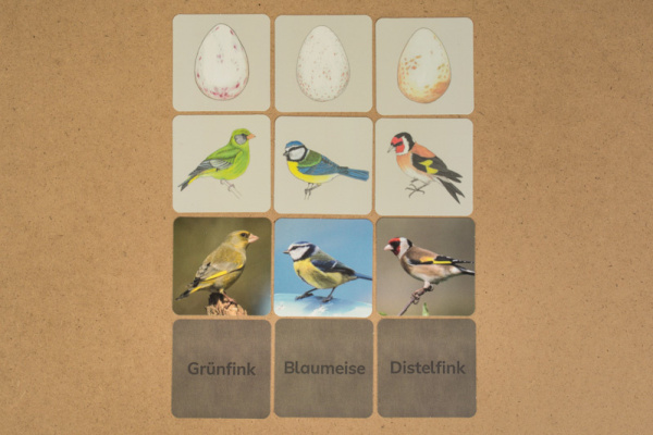 w_voegel_druck_2