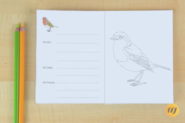 Download-Paket: Heimische Vögel