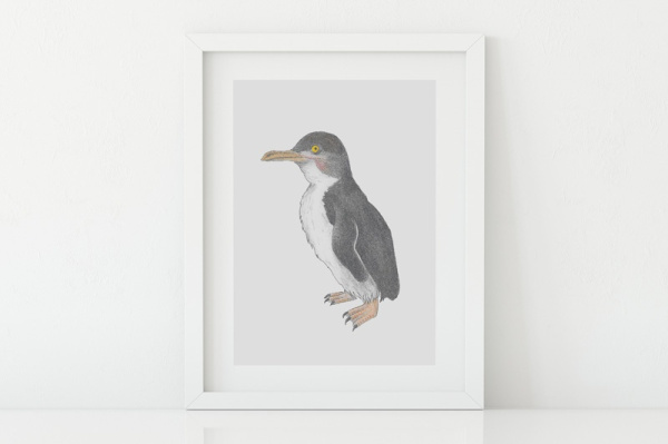 Zwergpinguin A5