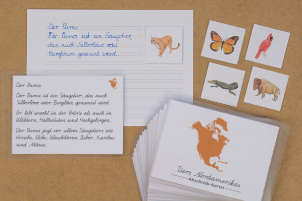 Abschreibekartei 20 Tiere Nordamerikas