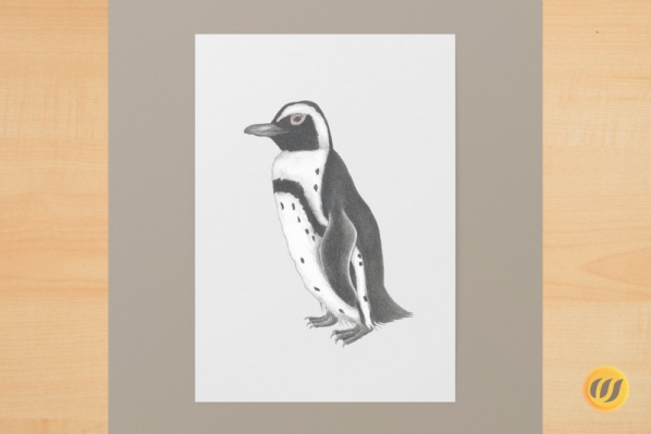 brillenpinguin