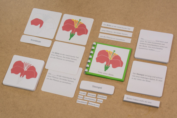 definition_bluete_kiha