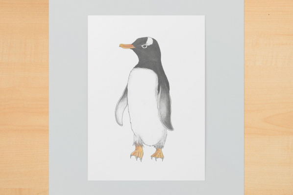 Eselspinguin A5