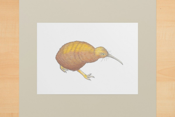 kiwi1