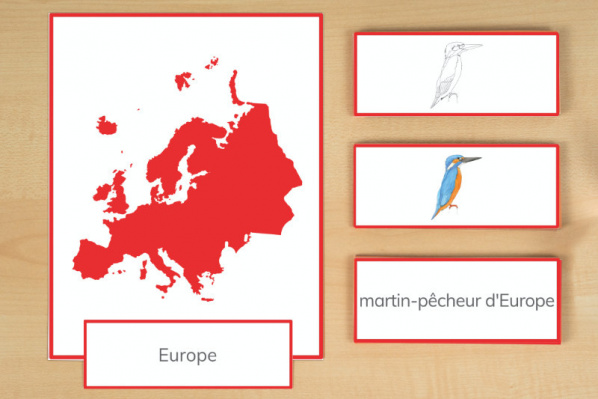 legematerial_tiere_europa_franz