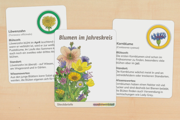 monatsblumen_druckversion_1