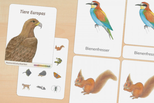20 Nomenklaturkarten Tiere Europas