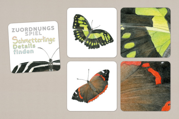 schmetterlinge_details_druck_titel_1