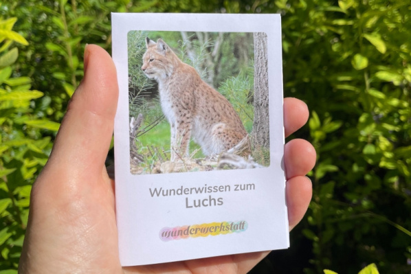 wunderwissen_luchs_titel_neu