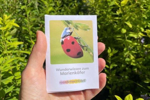 wunderwissen_marienkaefer_titel_neu