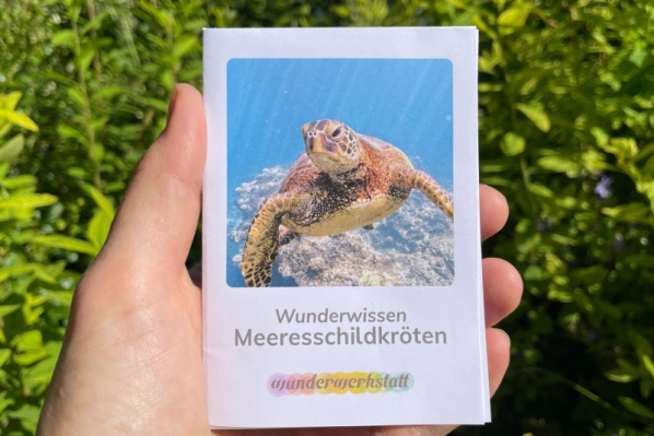 wunderwissen_meeresschildkroeten_titel_neu