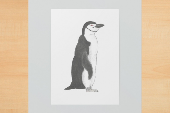 zuegelpinguin1