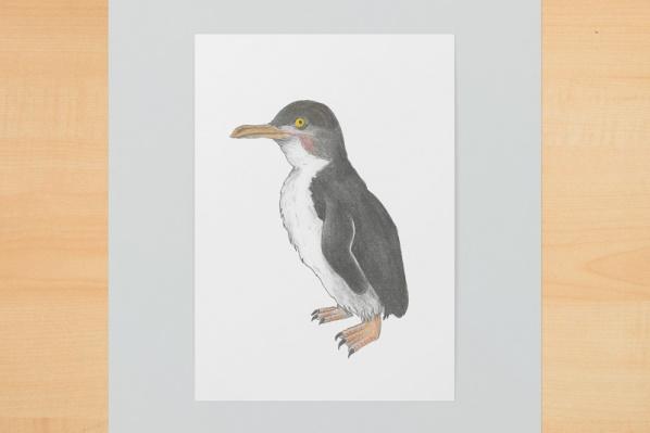 zwerpinguin1