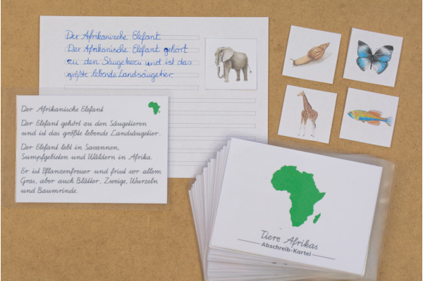Abschreibekartei 18 Tiere Afrikas Abschreibekartei 18 Tiere Afrikas