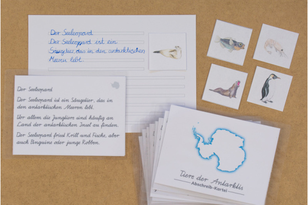 Abschreibekartei 8 Tiere der Antarktis