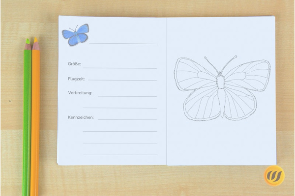 Arbeitsheft Schmetterlinge (Download) arbeitsheft_schmetter