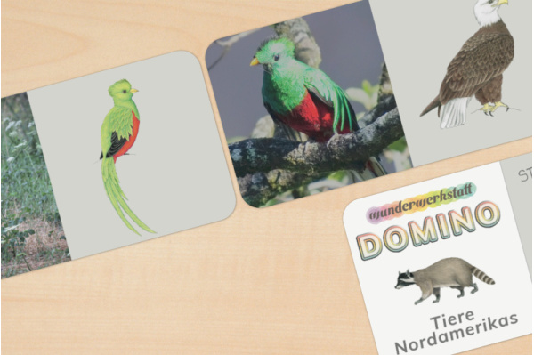 Domino - Tiere Nordamerikas (2fach differenziert) domino_nordamerika__1