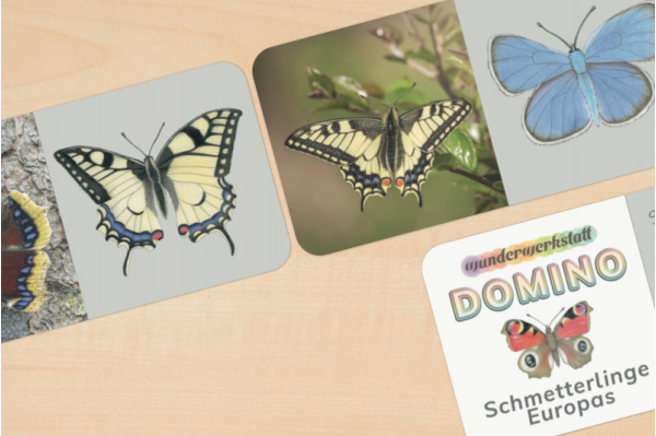 Schmetterlings-Domino (2fach differenziert) domino_schmetterling_1