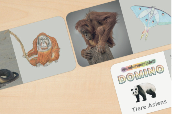 Domino - Tiere Asiens (2fach differenziert) domino_tiere_asien_2