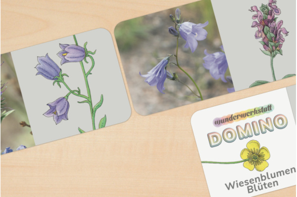 Domino Wiesenblumen (2fach differenziert) domino_wiesenblumen_druck_1