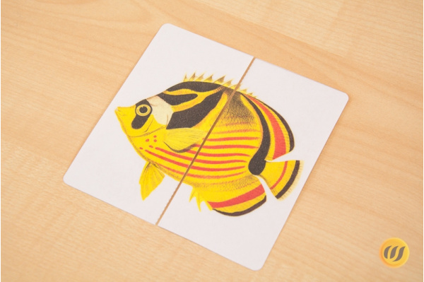 Mini-Puzzle Fische (Download) Mini-Puzzle Fische (Download)