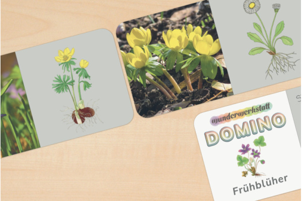 Domino Frühblüher (2fach differenziert) fb_domino_druck1