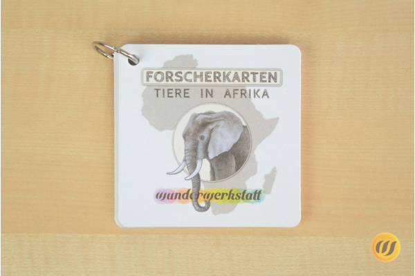 Tiere in Afrika - 18 Forscherkarten forscher_afrika_druck