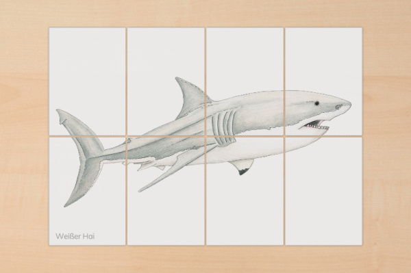 8-teilige Puzzle "Haie" hai_puzzle_8er_3