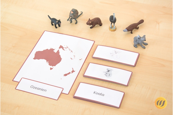 kontinentenkiste_australien