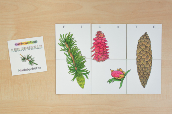 Lernpuzzle Nadelbäume lernpuzzle_nadelbaeume