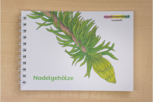 Leseheft 6 heimische Nadelgehölze leseheft_nadel_titel_2023