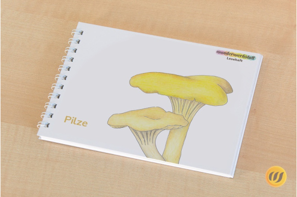 Leseheft 14 Pilze - illustriert Leseheft 14 Pilze - illustriert