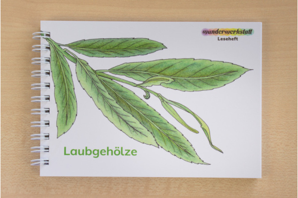 Leseheft 16 heimische Laubgehölze lh_laubgehoelze_titel_2023_1540238888