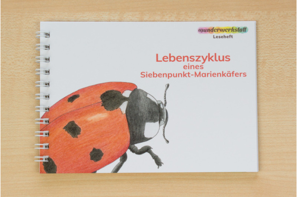 Leseheft: Lebenszyklus eines Siebenpunkt-Marienkäfers - illustriert