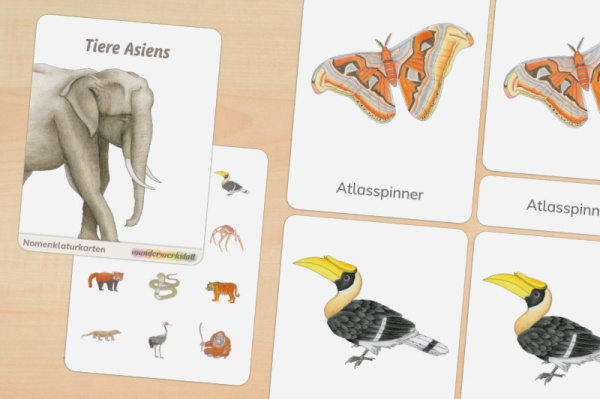 20 Nomenklaturkarten Tiere Asiens 20 Nomenklaturkarten Tiere Asiens