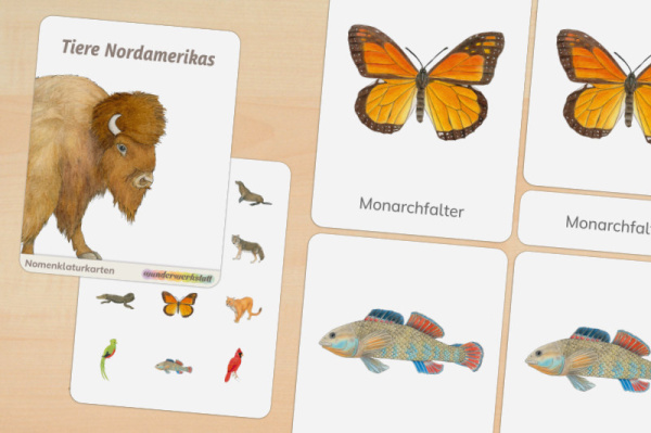 20 Nomenklaturkarten Tiere Nordamerikas 20 Nomenklaturkarten Tiere Nordamerikas