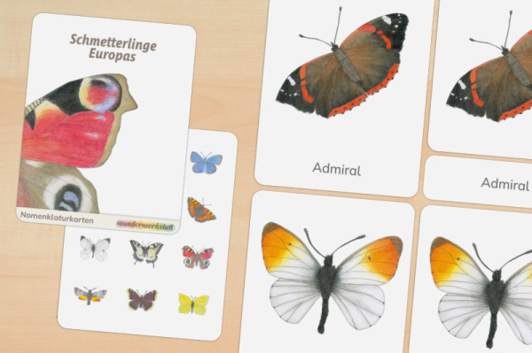 12 Nomenklaturkarten Schmetterlinge Europas 12 Nomenklaturkarten Schmetterlinge Europas