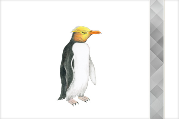 paket_pinguine