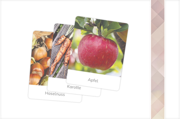 pflanzliche_lebensmittel_paket