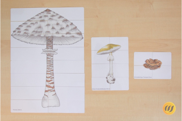 Pilze-Puzzle pilzepuzzle_1