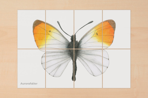 8-teilige Puzzle "Raupen und Schmetterlinge" puzzle_raupe_schmetterling4