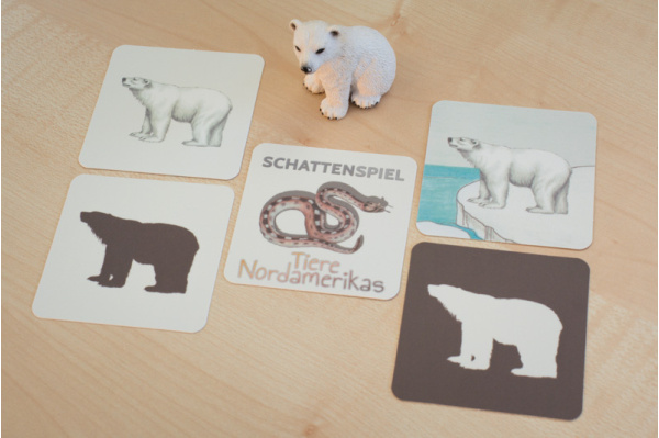 Schattenspiel Tiere Nordamerikas schatten_na_titel2