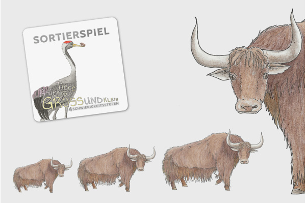 Größensortierung - Tiere Asiens sortier_asien_titel