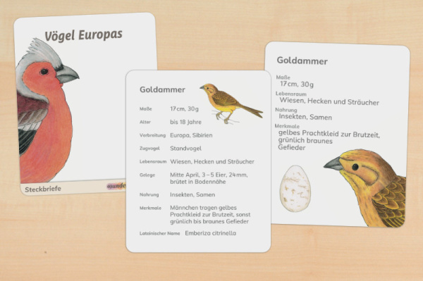 16 Steckbrief Europäische Vögel (2fach differenziert - gedruckt und beschichtet) steck_voegel_titel