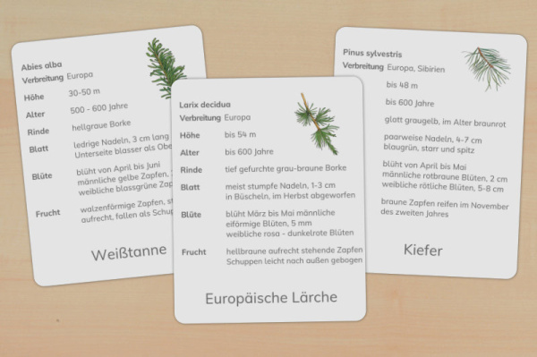 steckbriefe_nadel_download_1