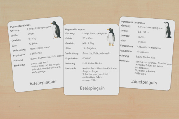 11 Steckbriefe Pinguine (Download) steckbriefe_pinguine_1